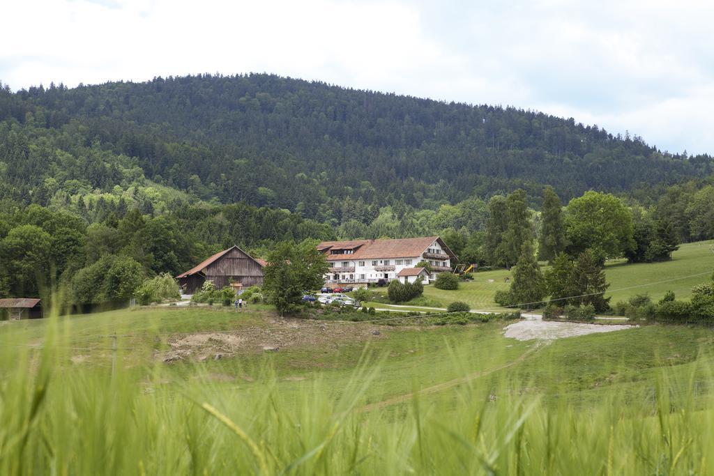 Wild-Berghof Buchet Hotel แบร์นรีด ห้อง รูปภาพ